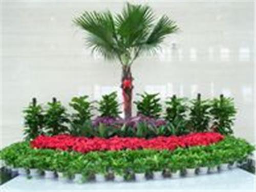 廣州市南沙區(qū)橫瀝永恒花場(chǎng)綠化工程部 專(zhuān)業(yè)園林設(shè)計(jì)與施工一體化服務(wù)